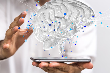 铃兰花为啥不吉利