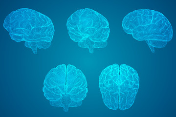 六年级上册第六单元英语42页的公告栏怎么读