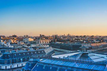 铃兰花为啥不吉利