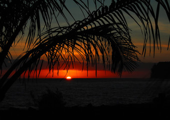 幼儿园的家长进课堂都讲些什么呢？