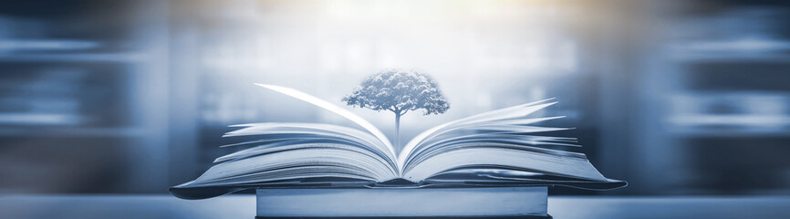 铃兰花为啥不吉利