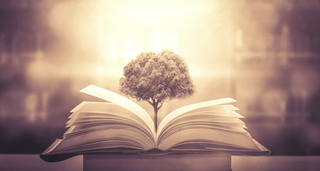 斗破苍穹人物大全