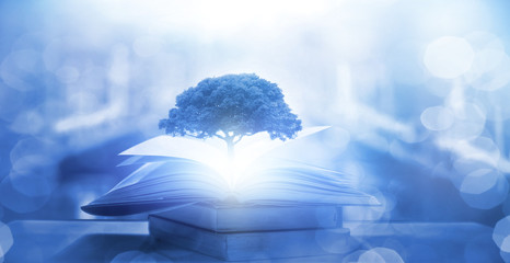 什么是冤亲债主