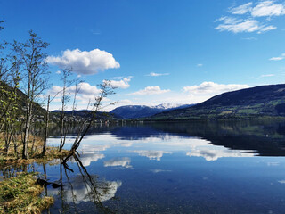 幼儿园的家长进课堂都讲些什么呢？