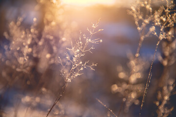 企业晨会激励小故事