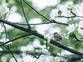 珠海沙滩音乐节10月19日开启附演出时间安排+演出阵容+交通管制信息