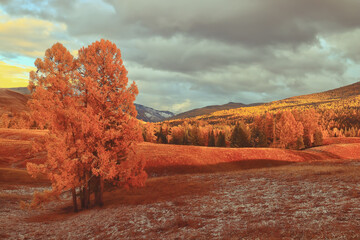 让数学走进生活让数学走进生活-一年级数学小故事