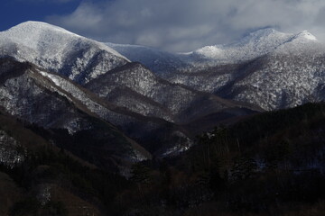 幼儿园小班科学实验教案详案《花儿妙用多》