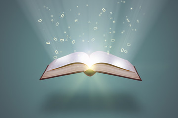 幼儿园小班科学实验教案详案《花儿妙用多》