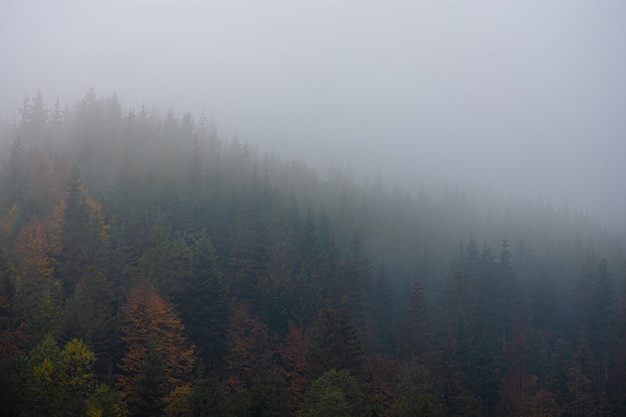 什么是冤亲债主