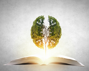 六年级上册第六单元英语42页的公告栏怎么读