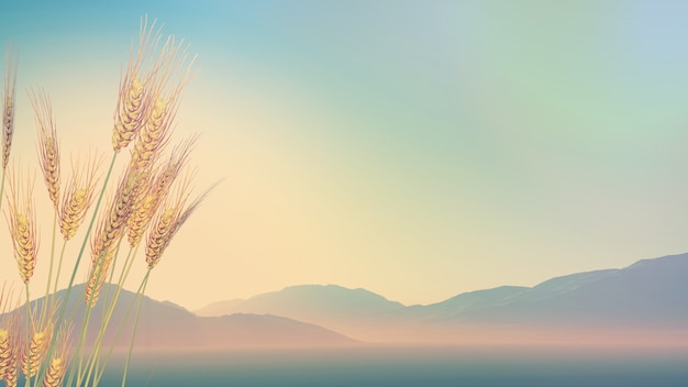 幼儿园的家长进课堂都讲些什么呢？