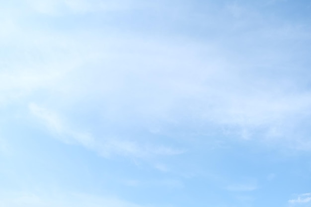 含有动物名称的成语100个