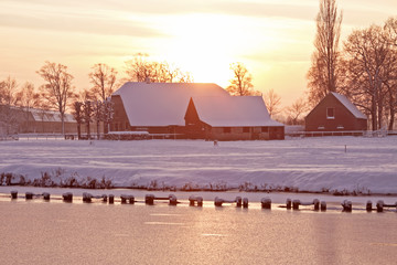 铃兰花为啥不吉利