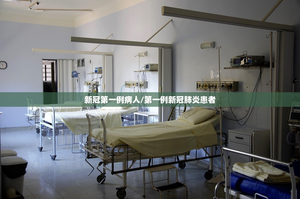 新冠第一例病人/第一例新冠肺炎患者 新冠第一例病人/第一例新冠肺炎患者