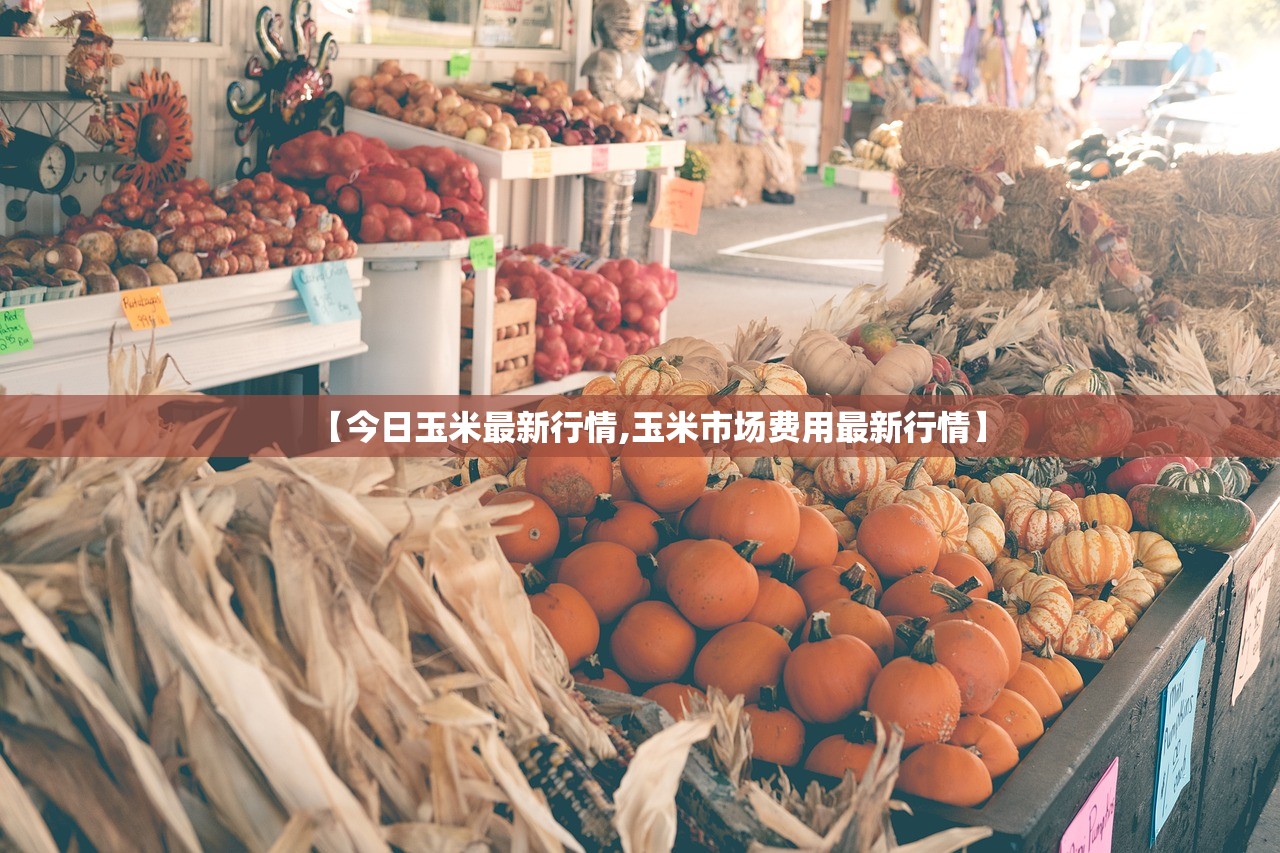 【今日玉米最新行情,玉米市场费用最新行情】 【今日玉米最新行情,玉米市场费用最新行情】
