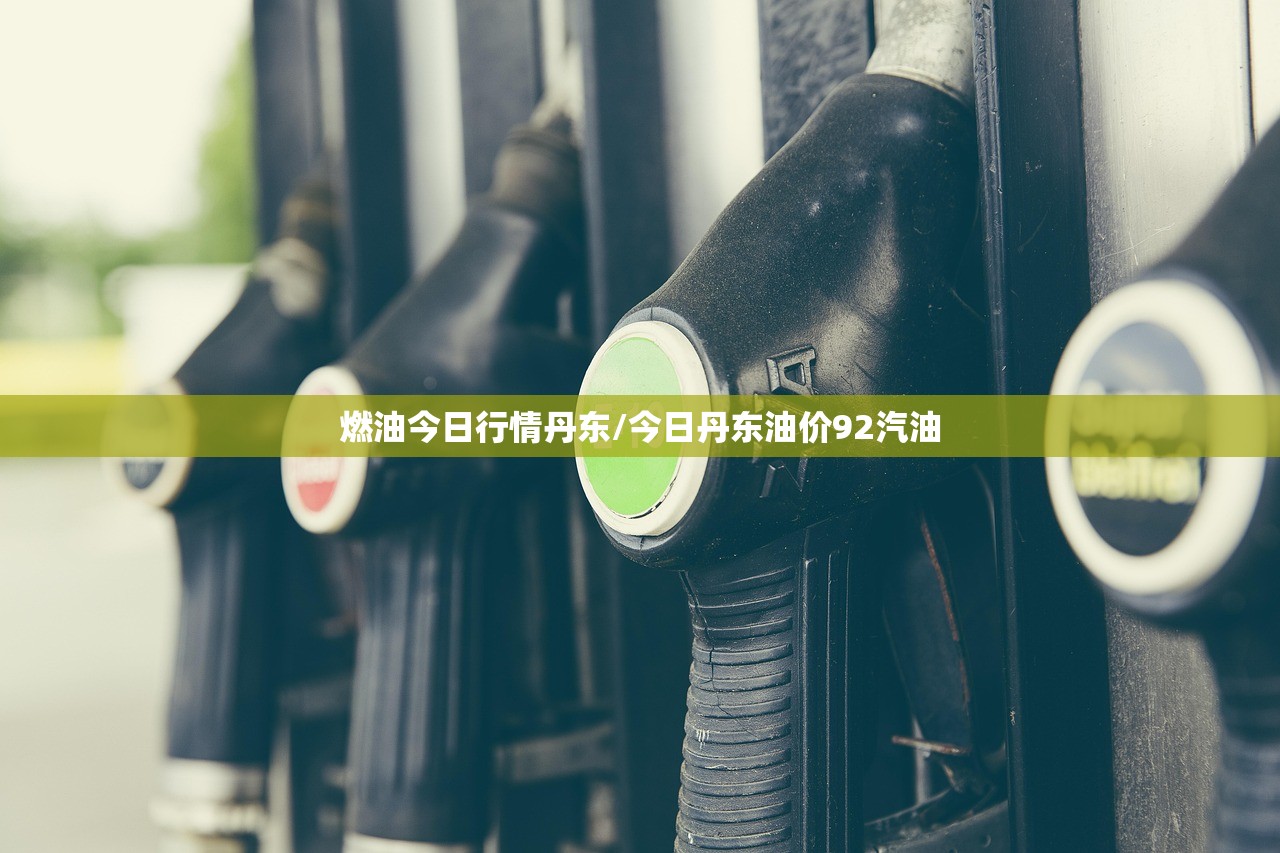 燃油今日行情丹东/今日丹东油价92汽油 燃油今日行情丹东/今日丹东油价92汽油