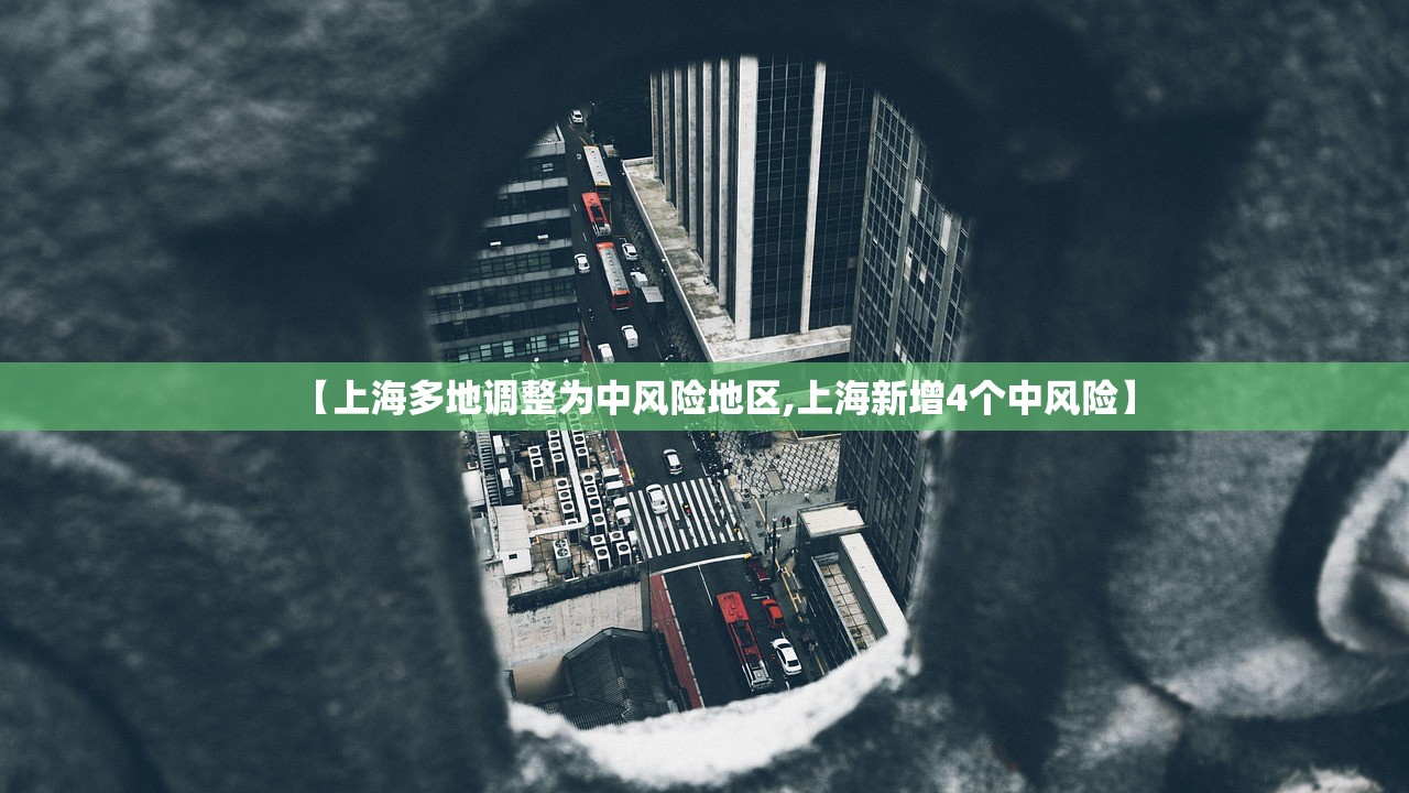 【上海多地调整为中风险地区,上海新增4个中风险】