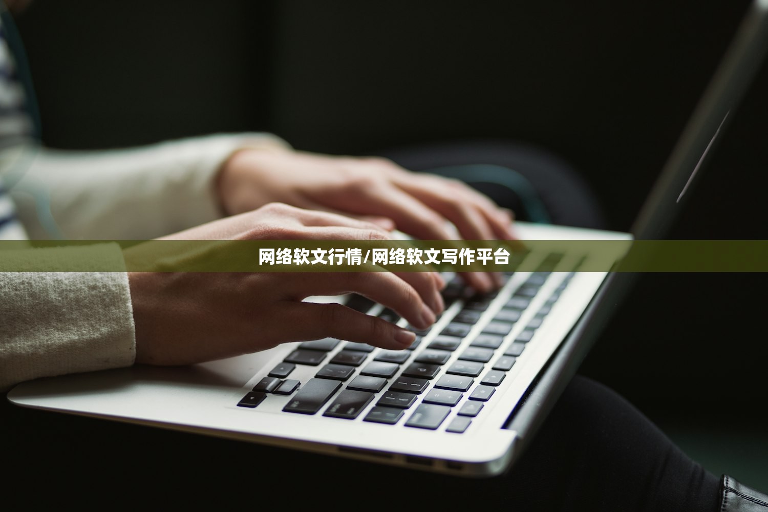 网络软文行情/网络软文写作平台 网络软文行情/网络软文写作平台