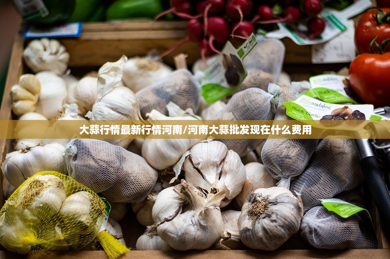 大蒜行情最新行情河南/河南大蒜批发现在什么费用 大蒜行情最新行情河南/河南大蒜批发现在什么费用