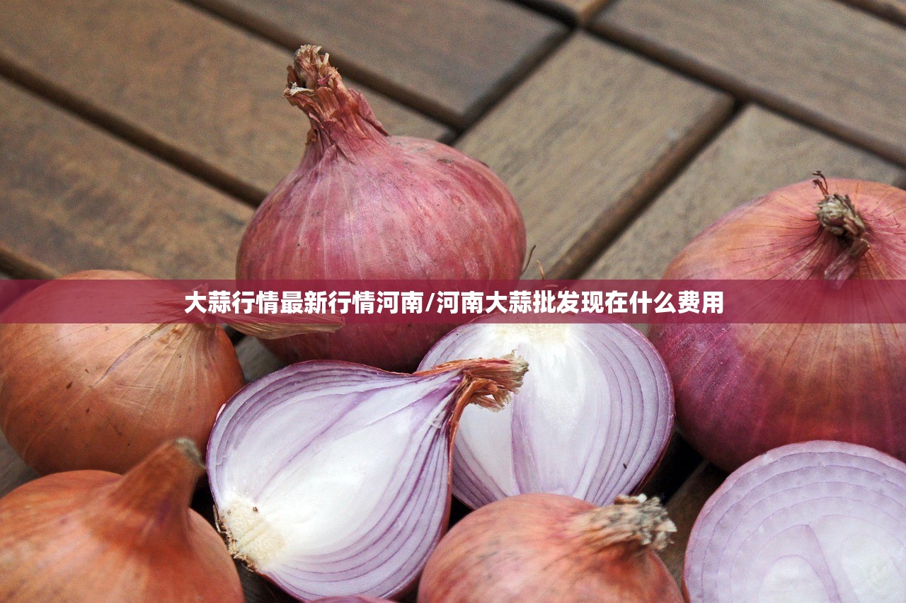 大蒜行情最新行情河南/河南大蒜批发现在什么费用 大蒜行情最新行情河南/河南大蒜批发现在什么费用