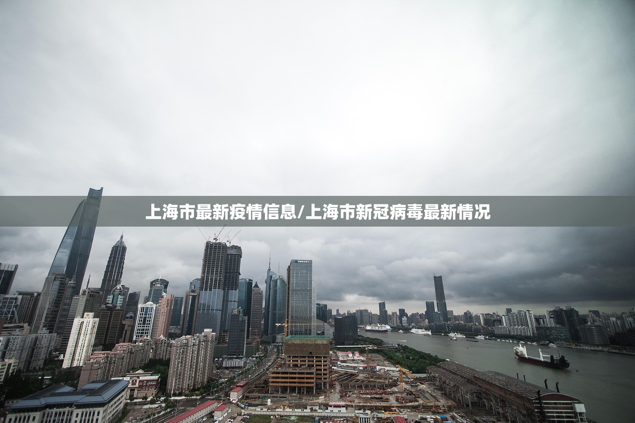 上海市最新疫情信息/上海市新冠病毒最新情况