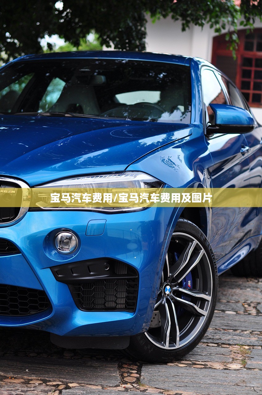 宝马汽车费用/宝马汽车费用及图片 宝马汽车费用/宝马汽车费用及图片