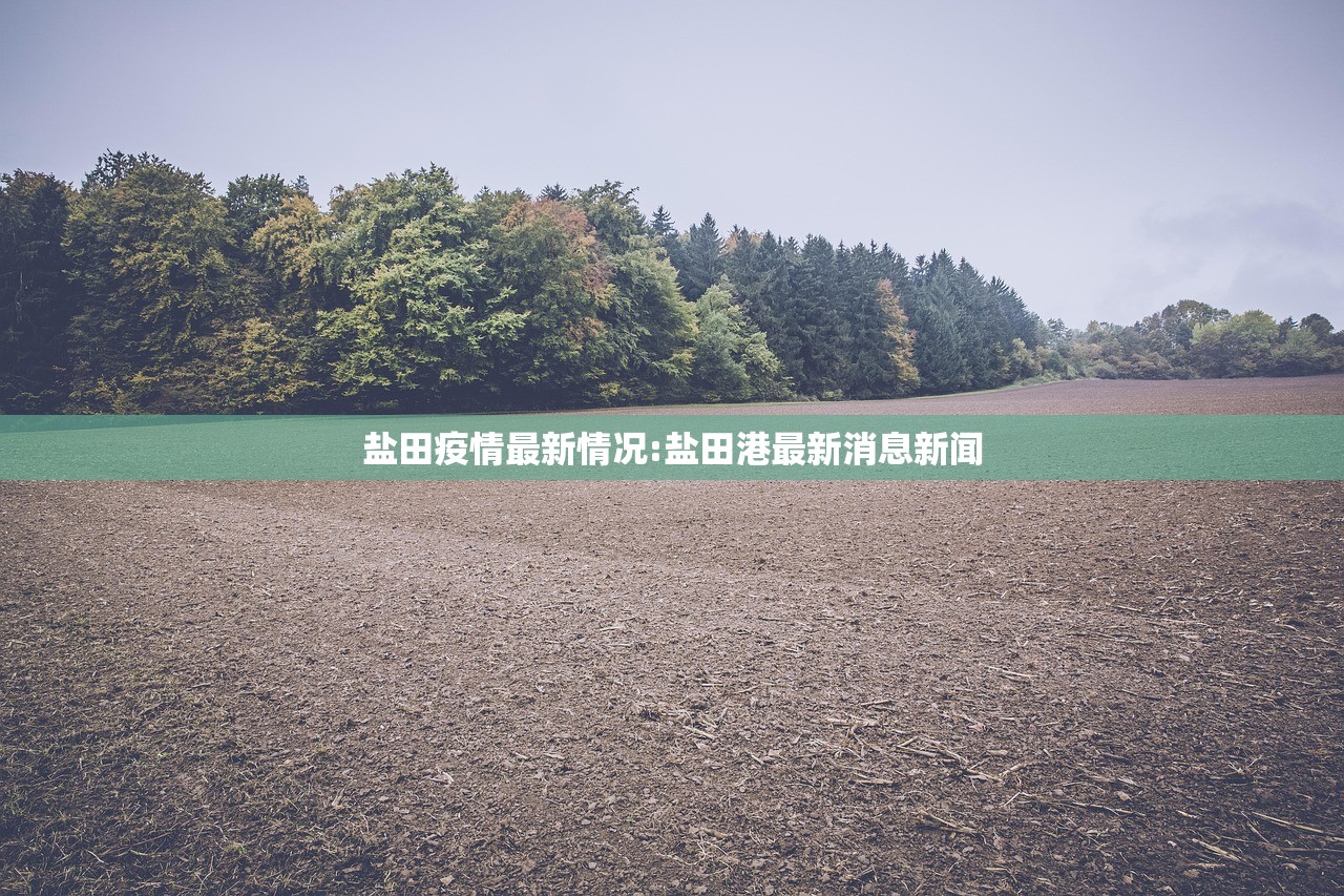 盐田疫情最新情况:盐田港最新消息新闻