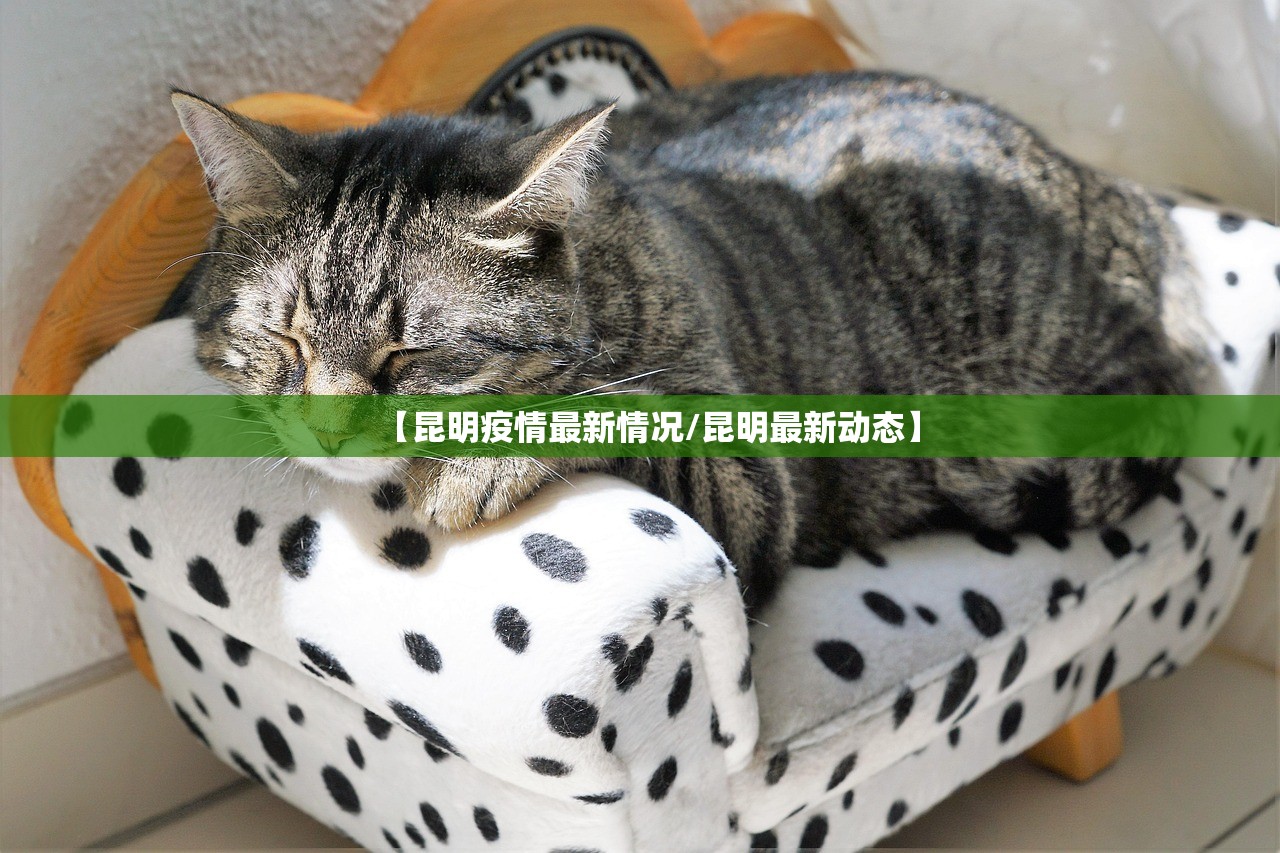 【昆明疫情最新情况/昆明最新动态】 【昆明疫情最新情况/昆明最新动态】