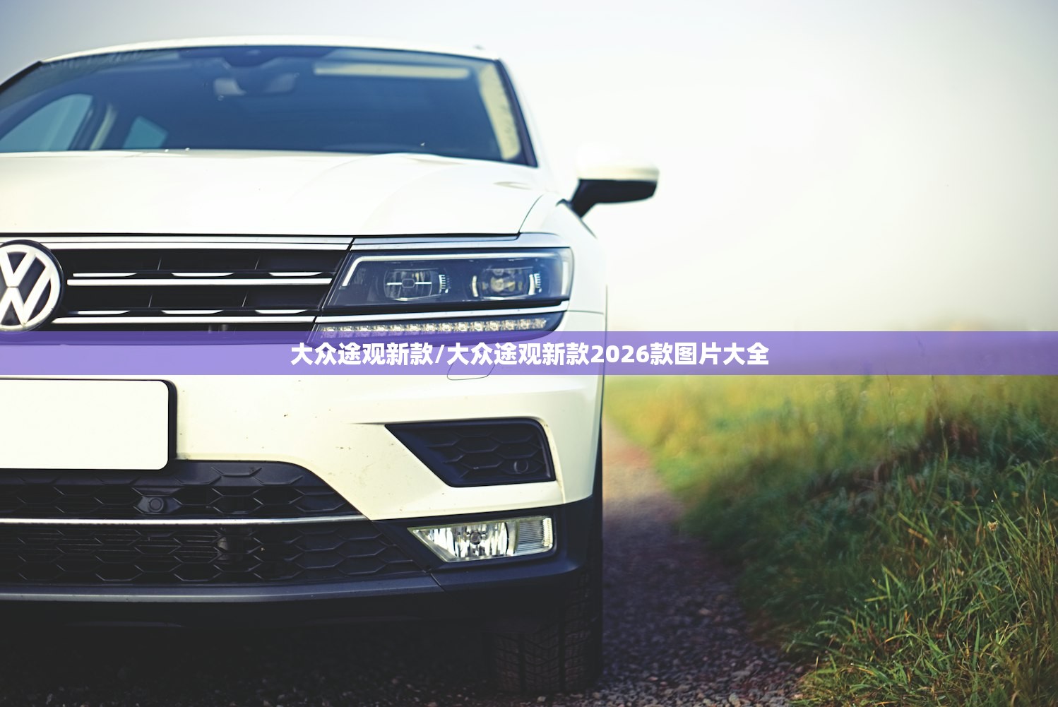 大众途观新款/大众途观新款2026款图片大全 大众途观新款/大众途观新款2026款图片大全