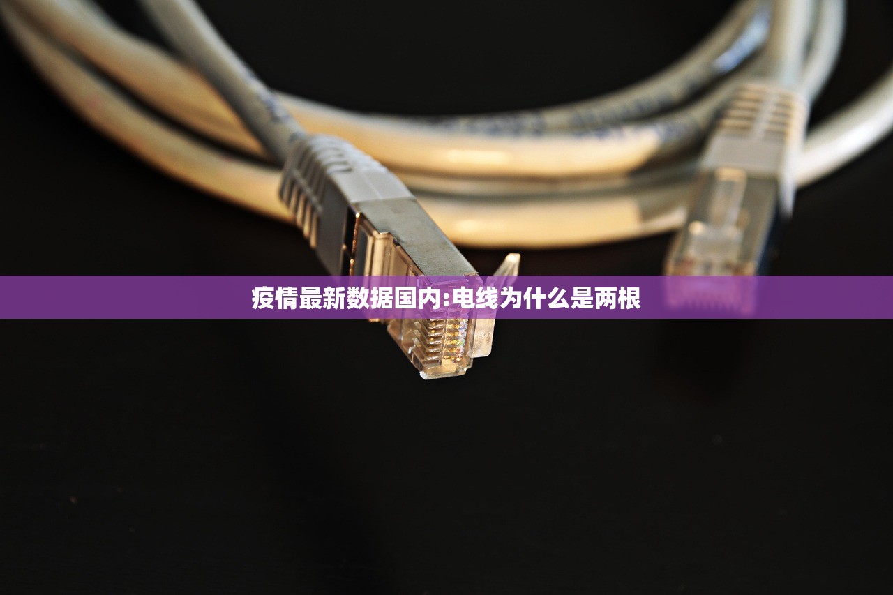 疫情最新数据国内:电线为什么是两根