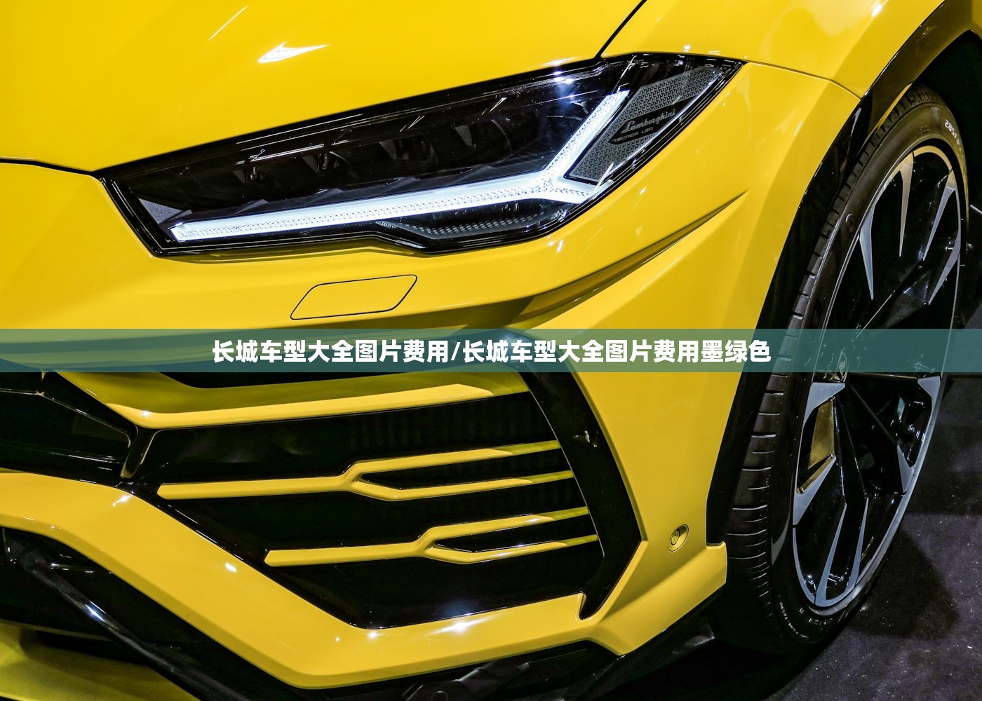 长城车型大全图片费用/长城车型大全图片费用墨绿色 长城车型大全图片费用/长城车型大全图片费用墨绿色