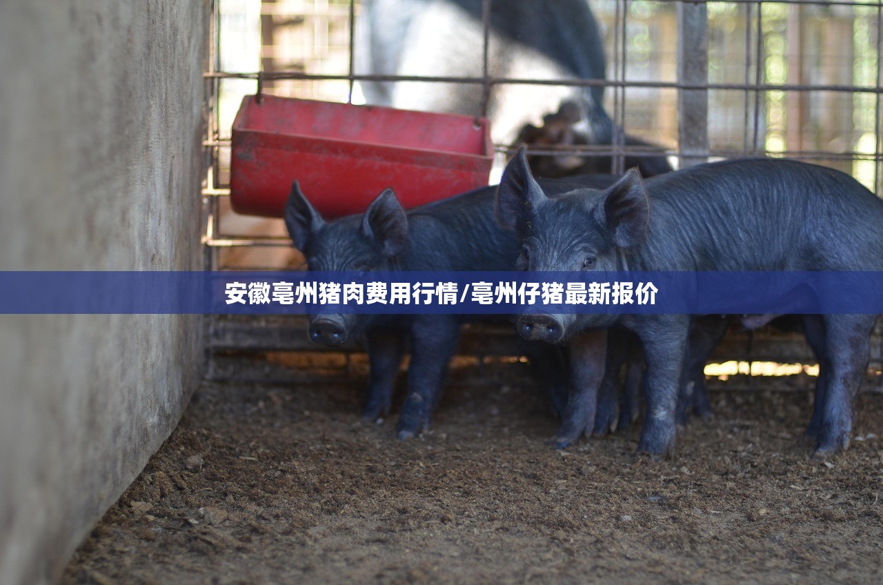 安徽亳州猪肉费用行情/亳州仔猪最新报价 安徽亳州猪肉费用行情/亳州仔猪最新报价
