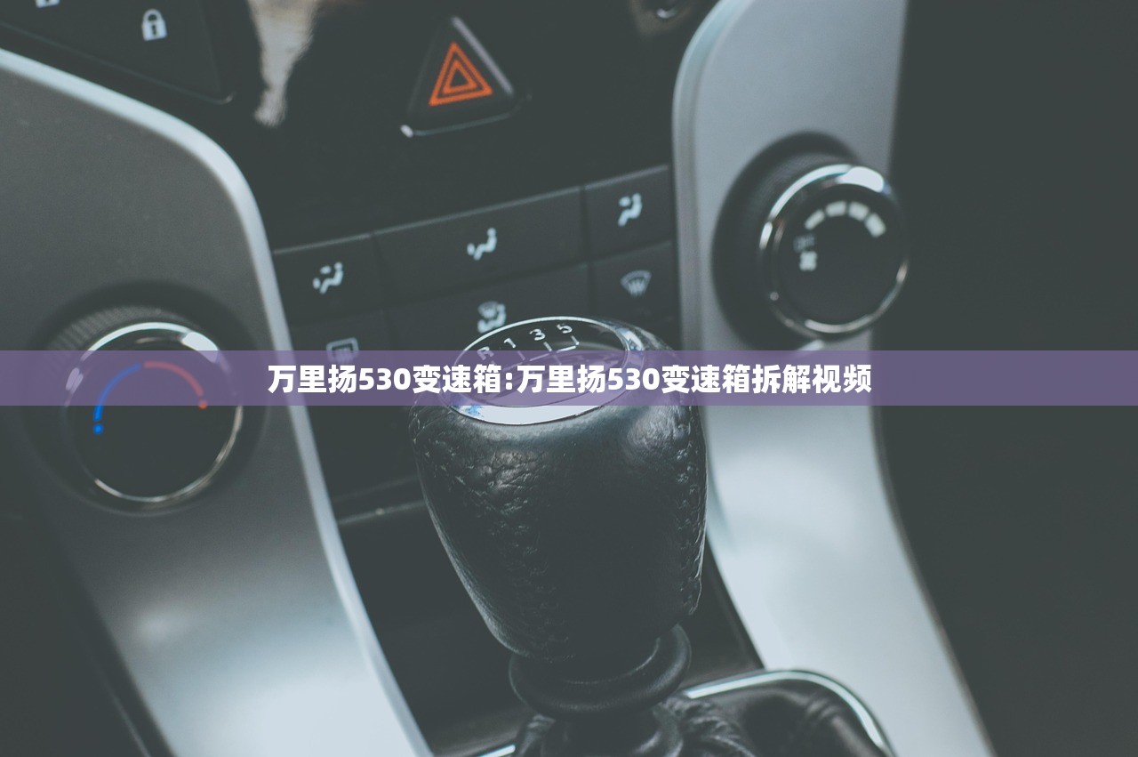 万里扬530变速箱:万里扬530变速箱拆解视频 万里扬530变速箱:万里扬530变速箱拆解视频