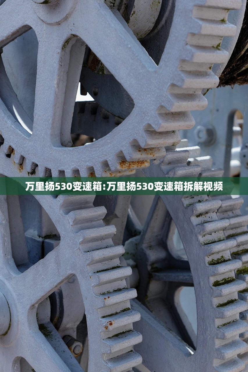 万里扬530变速箱:万里扬530变速箱拆解视频 万里扬530变速箱:万里扬530变速箱拆解视频