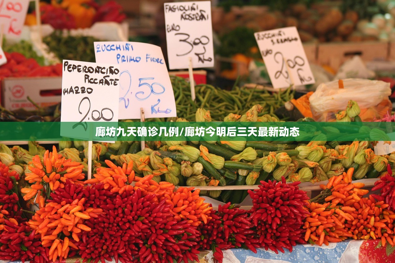 廊坊九天确诊几例/廊坊今明后三天最新动态 廊坊九天确诊几例/廊坊今明后三天最新动态