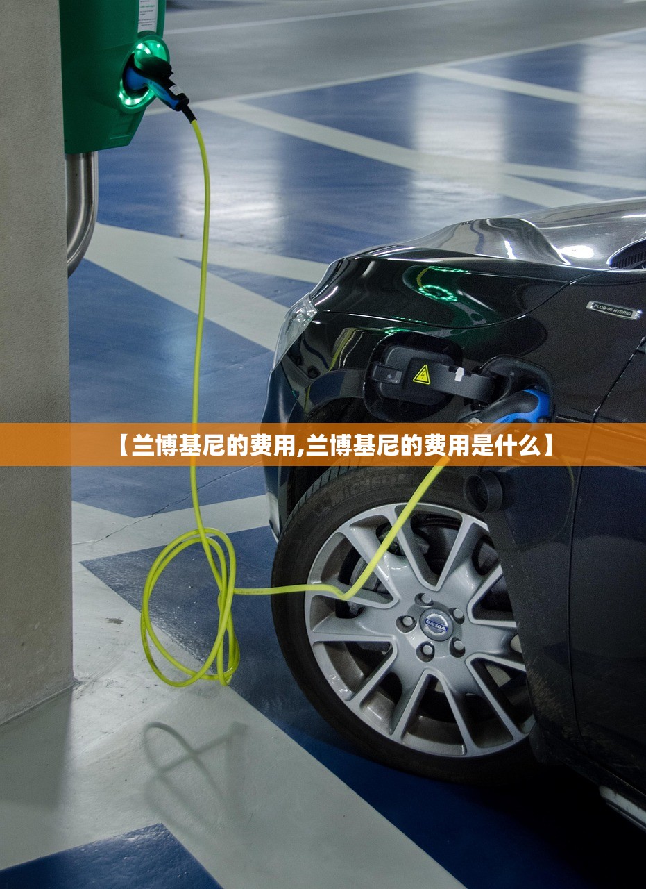 【兰博基尼的费用,兰博基尼的费用是什么】 【兰博基尼的费用,兰博基尼的费用是什么】