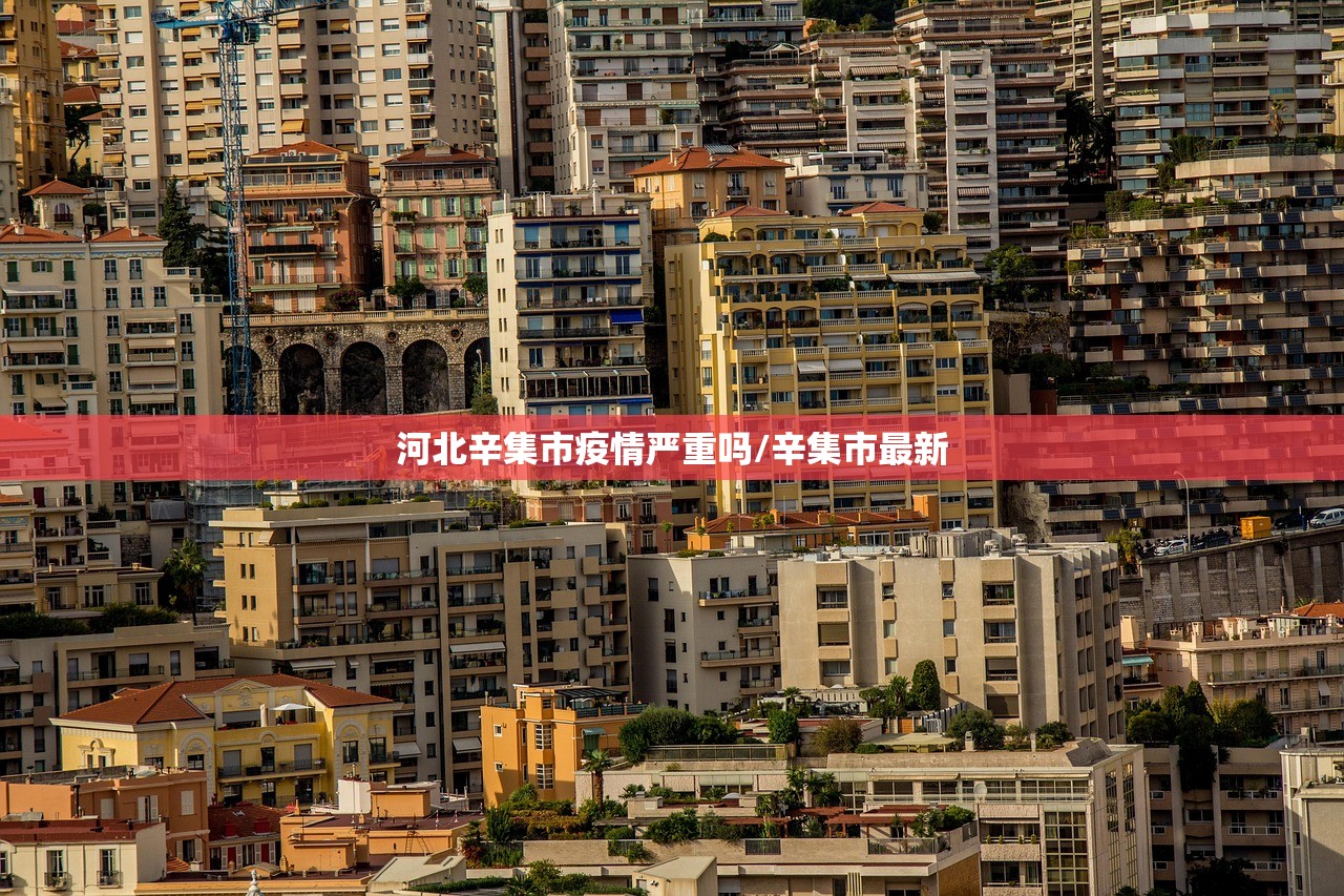 河北辛集市疫情严重吗/辛集市最新