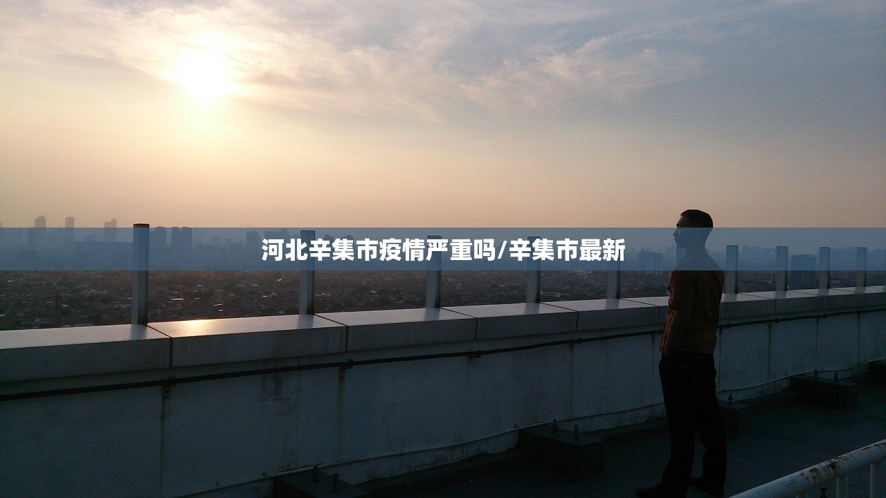 河北辛集市疫情严重吗/辛集市最新