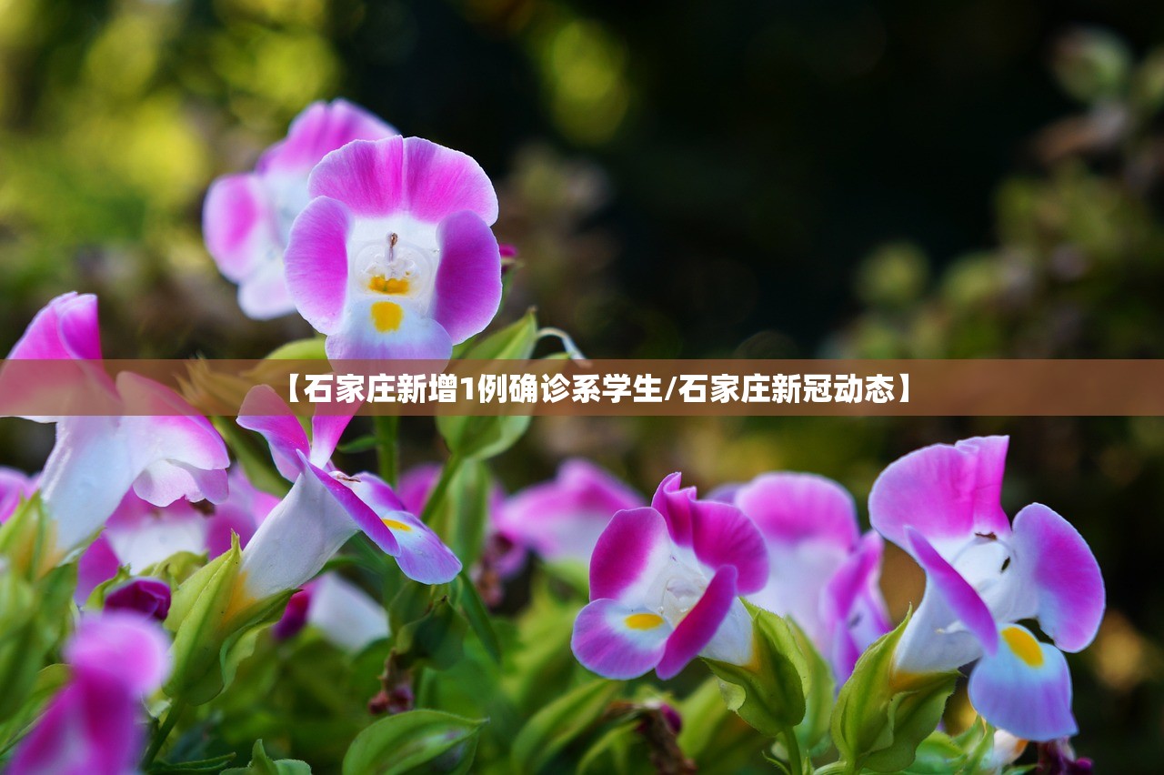 【石家庄新增1例确诊系学生/石家庄新冠动态】 【石家庄新增1例确诊系学生/石家庄新冠动态】