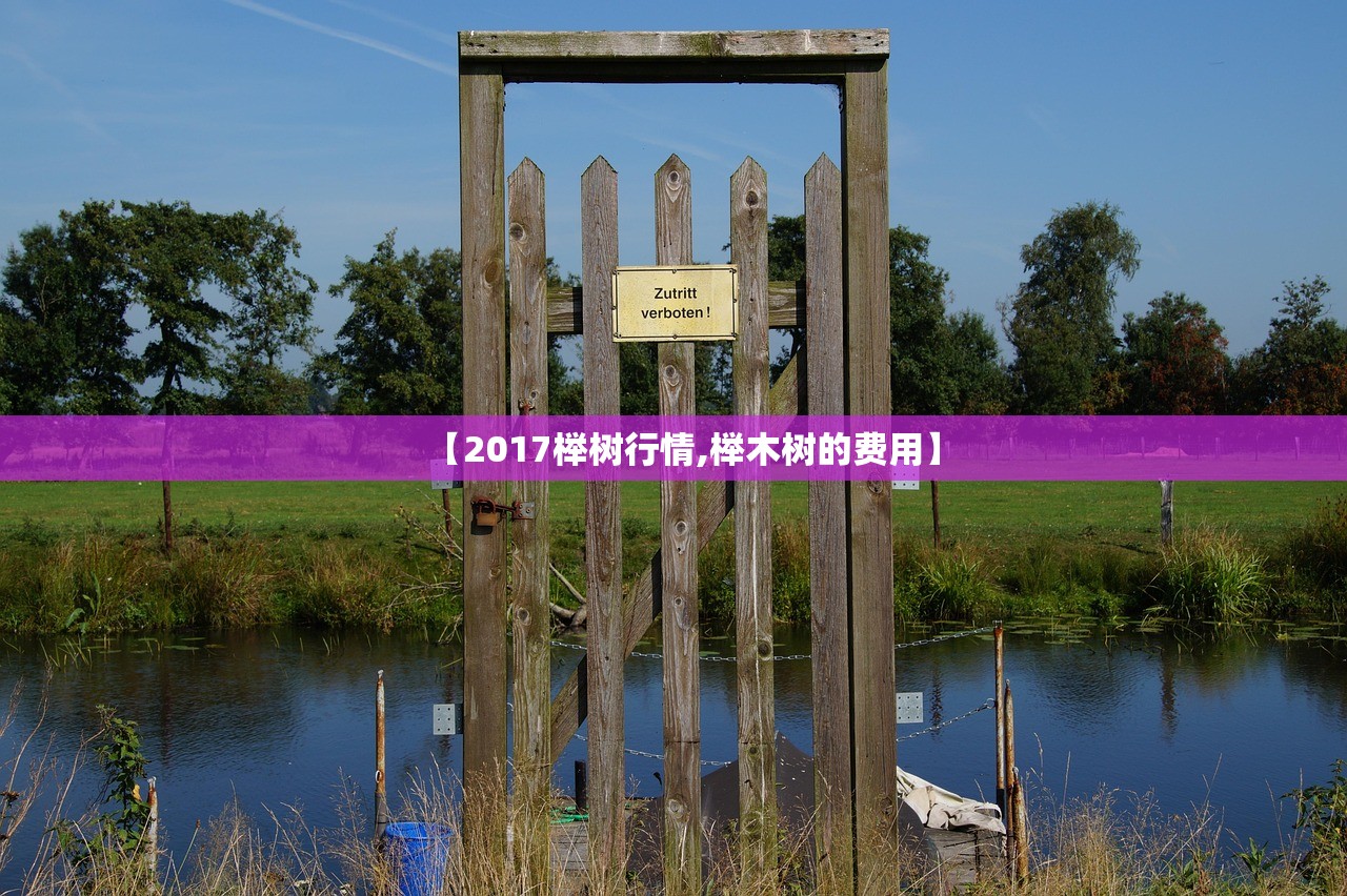 【2017榉树行情,榉木树的费用】 【2017榉树行情,榉木树的费用】