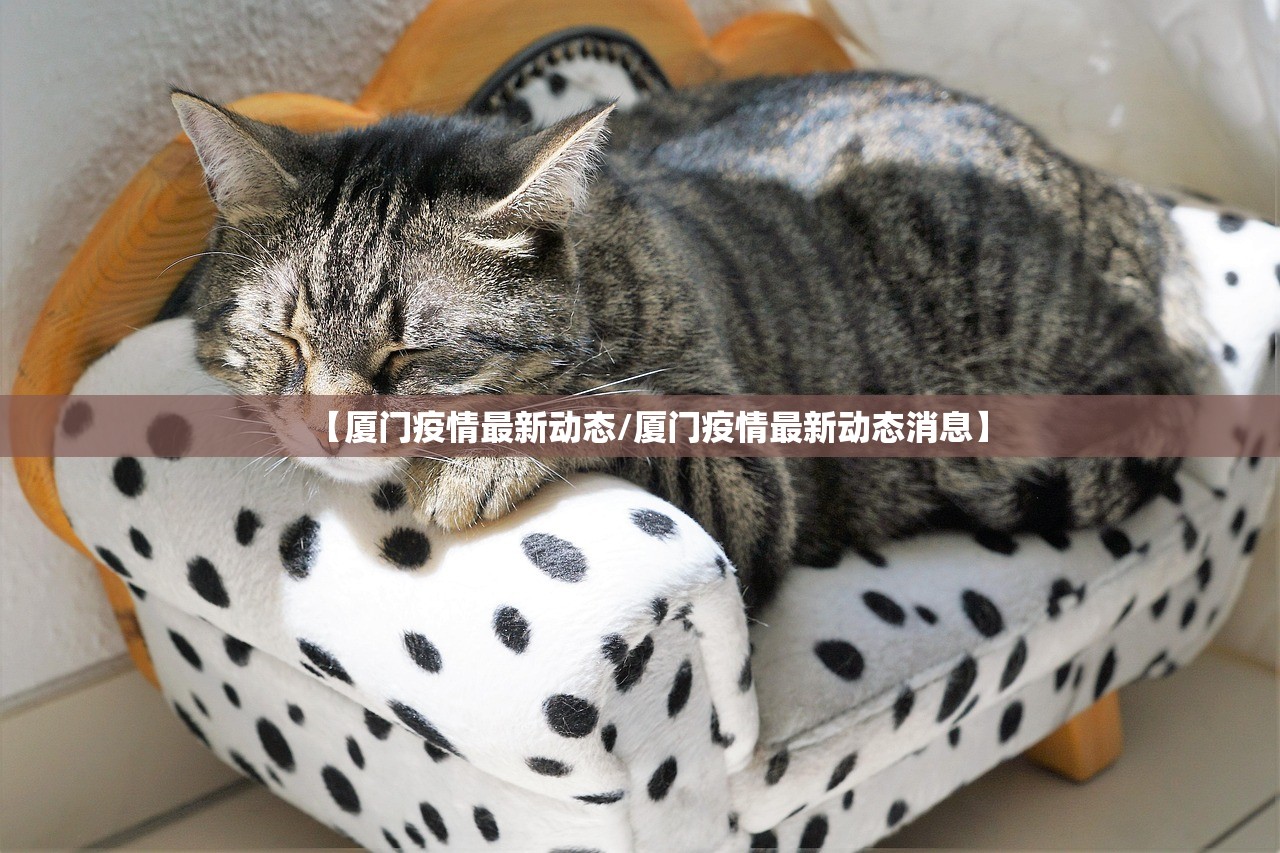 【厦门疫情最新动态/厦门疫情最新动态消息】 【厦门疫情最新动态/厦门疫情最新动态消息】