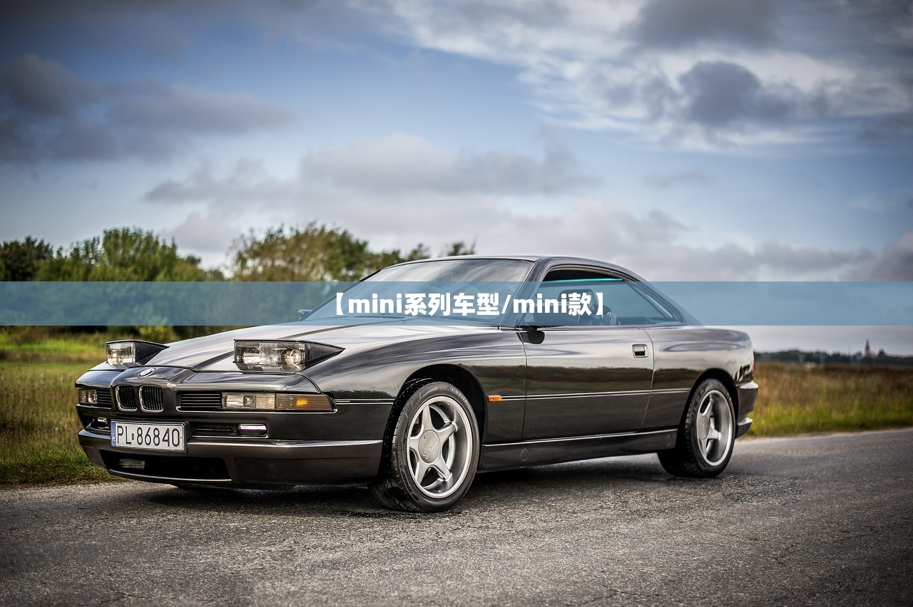 【mini系列车型/mini款】 【mini系列车型/mini款】