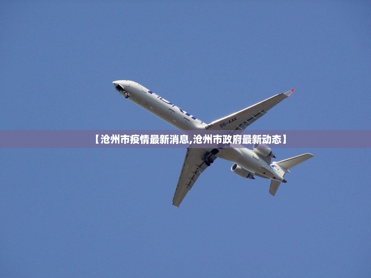 【沧州市疫情最新消息,沧州市政府最新动态】 【沧州市疫情最新消息,沧州市政府最新动态】