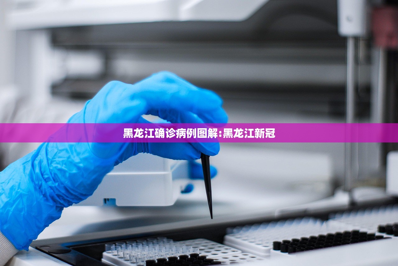 黑龙江确诊病例图解:黑龙江新冠 黑龙江确诊病例图解:黑龙江新冠