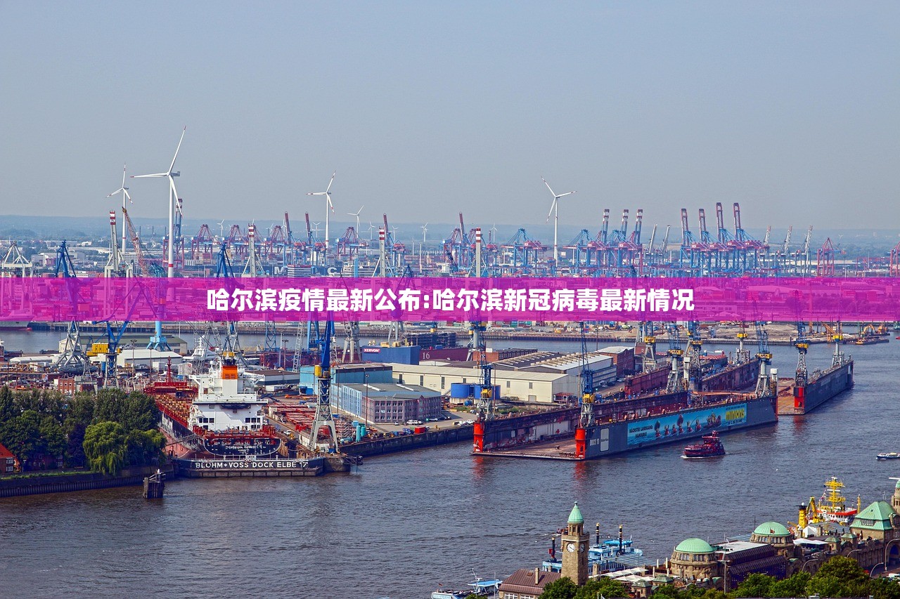 哈尔滨疫情最新公布:哈尔滨新冠病毒最新情况 哈尔滨疫情最新公布:哈尔滨新冠病毒最新情况