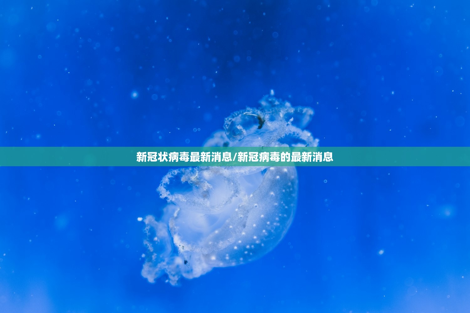 新冠状病毒最新消息/新冠病毒的最新消息 新冠状病毒最新消息/新冠病毒的最新消息