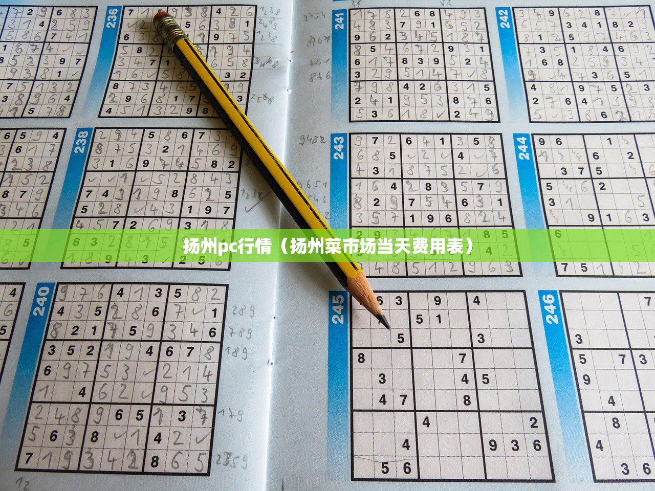 扬州pc行情（扬州菜市场当天费用表）