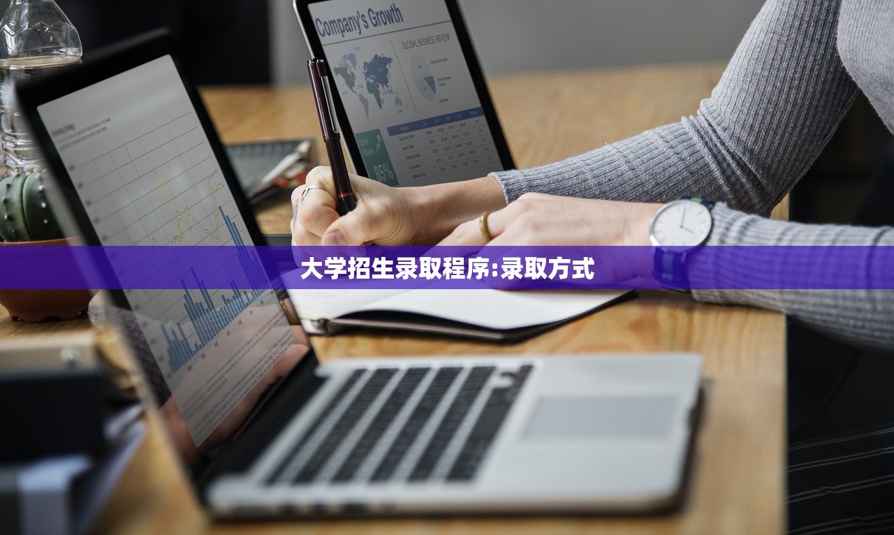 大学招生录取程序:录取方式 大学招生录取程序:录取方式