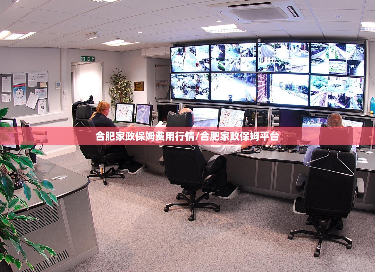合肥家政保姆费用行情/合肥家政保姆平台 合肥家政保姆费用行情/合肥家政保姆平台